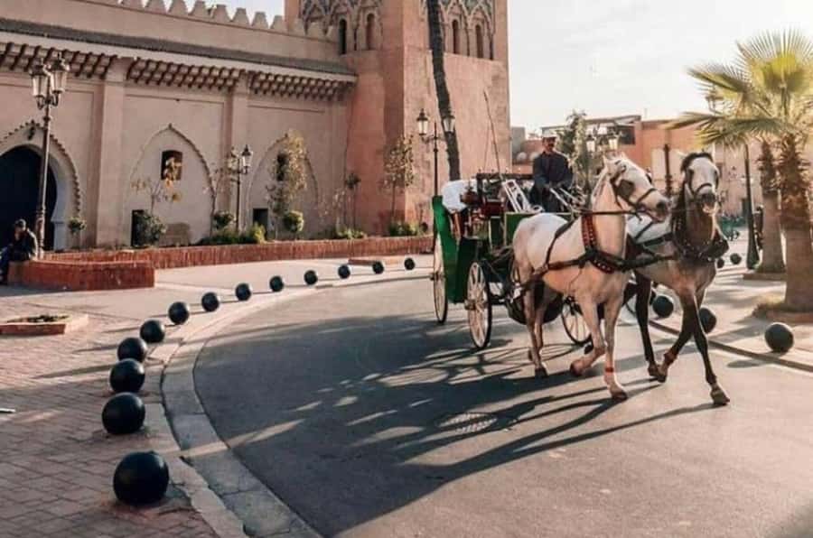 Private Tour: Jardin Secret and Hidden Gems of Marrakech - Meeting your guide and getting oriented fast