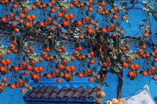 Private Tour of Chefchaouen from Tangier - Arriving in Chefchaouen Medina: Blue Streets and Local Rhythm