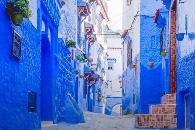private tour of Tangier included (Camel Ride) and Beautiful View) - Entering the Medina: souks, alleys, and time to shop