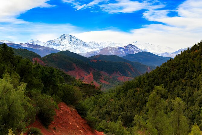 Private Tour Ourika Valley & Atlas Mountains - Who should book this Ourika & Atlas day trip?
