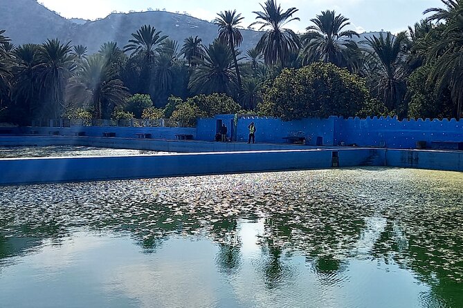 Private Tour: Tiout and Taroudant from Agadir - From Agadir, A Day That Actually Feels Like an Escape