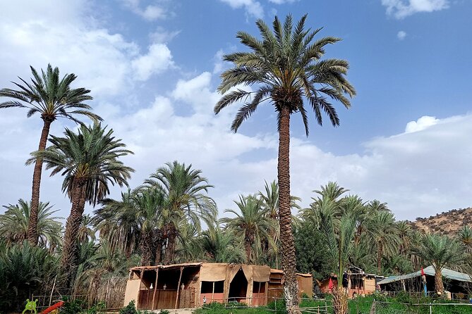 Private Tour: Tiout and Taroudant from Agadir - Getting the Most From Your Driver/Guide Time