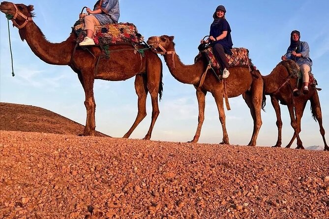 PRIVATE Tour with Dinner & Sunset with Camel To Desert Agafay - Private tour logistics: how to avoid the one real problem