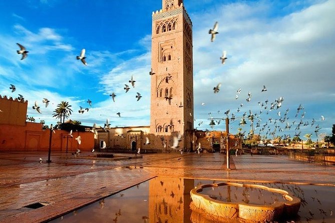 Private Transfer From Marrakech To Casablanca Airport or City - The 3-Hour Drive to CMN: What to Plan For