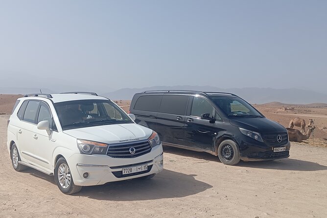 Private Transfer from Menara Airport to Marrakech Hotel - Key things that matter before you book
