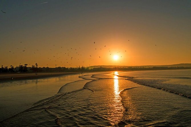 Private Transfer: Marrakech to Essaouira (Door-to-Door) - Price and Value: Is $92.92 Per Person a Good Deal?