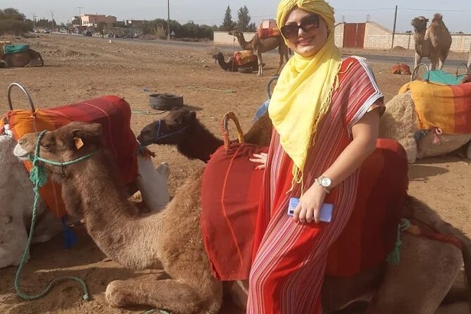 Private transfer Marrakech to Essaouira or Essaouira to Marrakech - Communication and punctuality: how it reduces stress