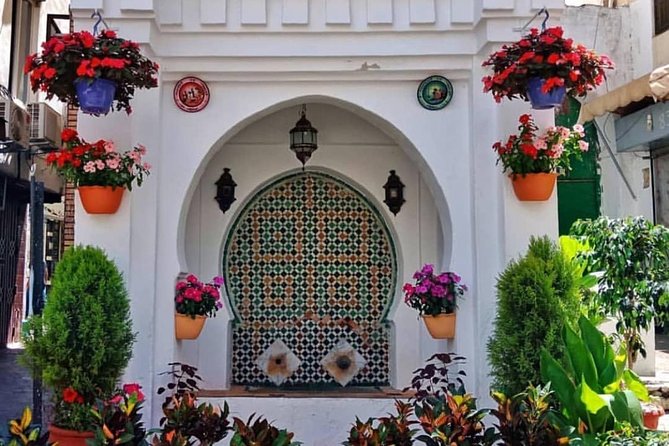 Private Trip to Asilah - Flexible Departures from Tangier: Morning vs Early Afternoon