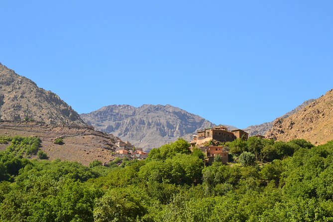 Private Valley and Atlas Mountain Tour in Marrakech - High Atlas Mountains and Azrou: Argan Co-op Tea Before You Walk
