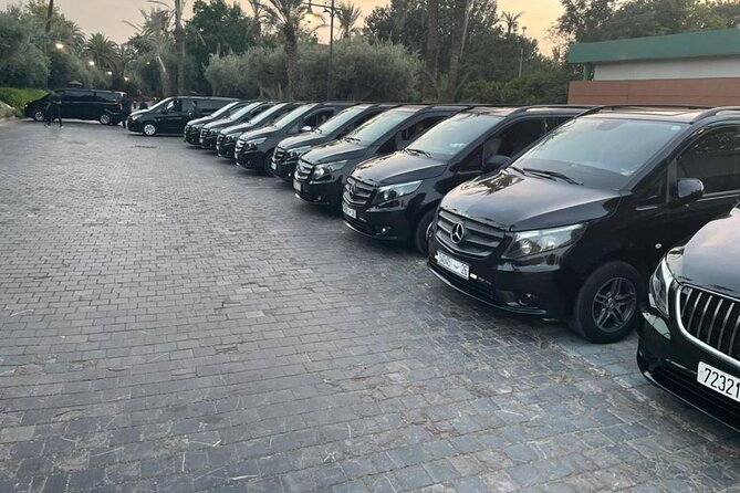 Provision - Who Provision Fits Best in Marrakech