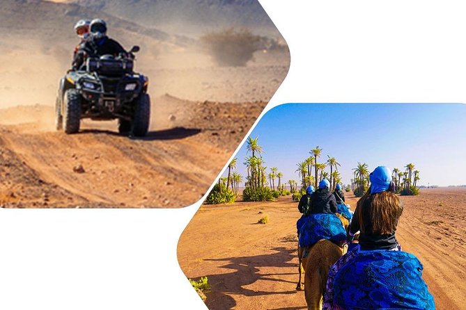 Quad and Camel ride in the palmgrove of Marrakech - Tea break moments: why the pause is part of the experience