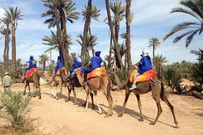 Quad and Camel ride in the palmgrove of Marrakech - Switching from speed to slow: the camel ride with nomad clothing