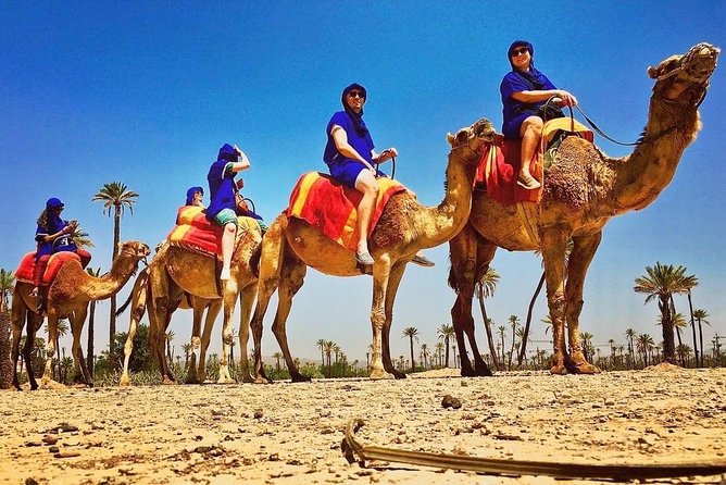 Quad and Camel ride in the palmgrove of Marrakech - Group size and guide care: why this tour stays fun instead of chaotic