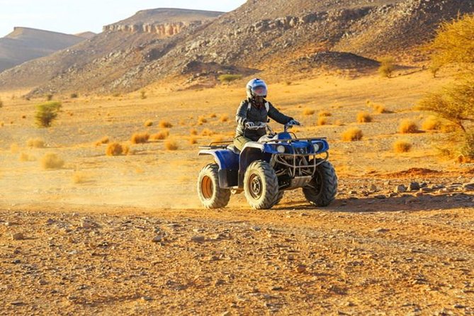 Quad and Camel ride in the palmgrove of Marrakech - Price value: what $58.07 buys you and what you’ll likely spend extra