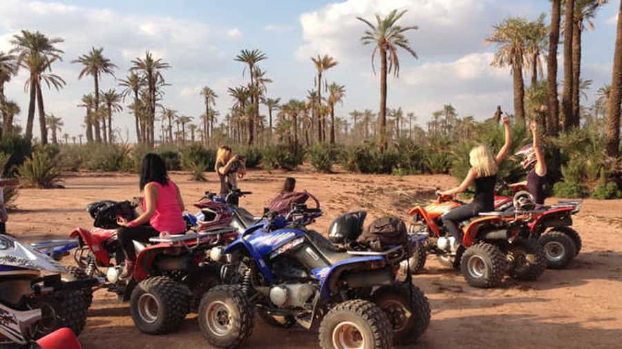 Quad Bike Activity in Marrakech Palmeraie - Mid-Route Pause at a Desert Refuge for Tea and Bites