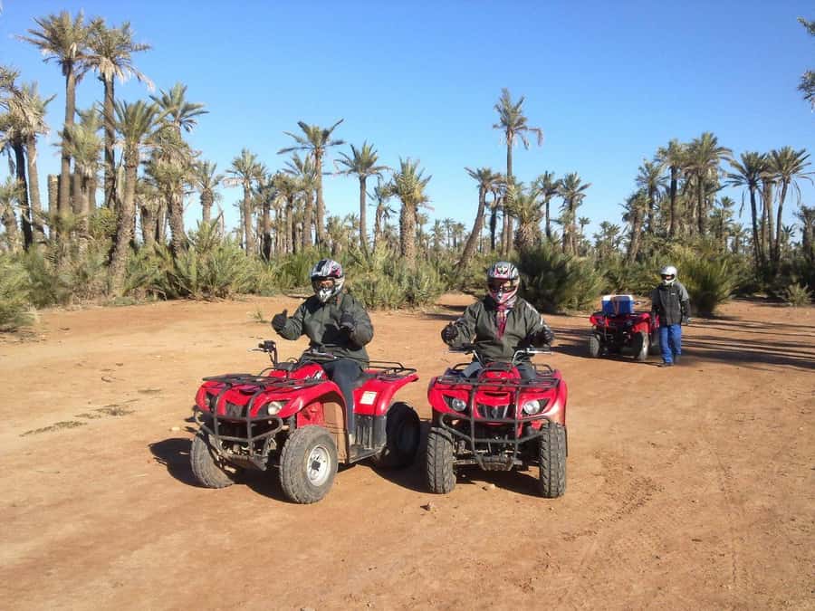 Quad Bike Activity in Marrakech Palmeraie - Who This Quad Bike Trip Is Best For