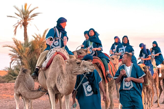 Quad Bike and Camel Ride in Marrakech - From Medina energy to Palm Desert trails