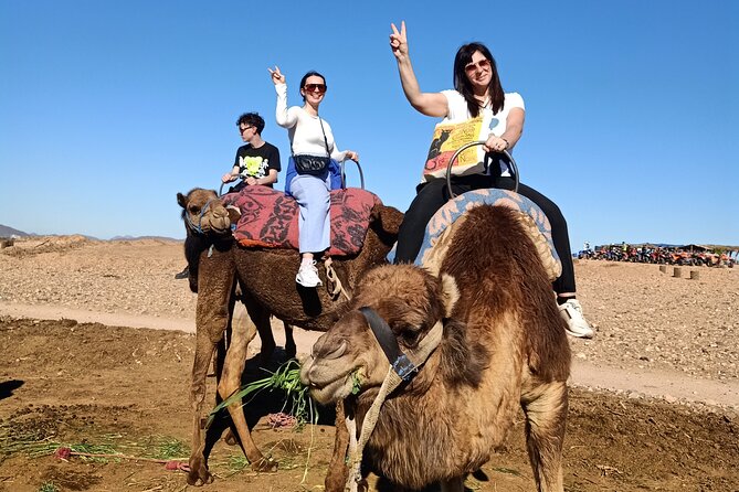 Quad Bike and Camel Ride in Marrakech - Value check: does $58.07 make sense here?
