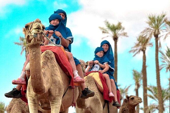 Quad Bike and Camel Ride in Marrakech - Who should book this quad and camel mix