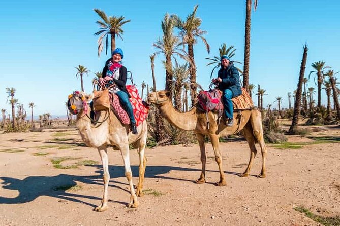 Quad Bike and Camel Ride in Marrakech Palmeraie - Quad Bike and Camel Ride in Marrakech Palmeraie: The Real Vibe