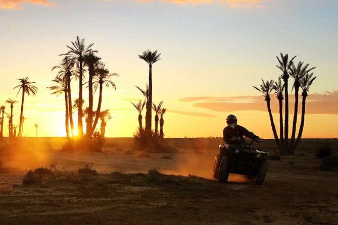 Quad Bike and Camel Ride in Marrakech Palmeraie - Marrakech Pickup and Air-Conditioned Transport (So You Don’t Lose Time)