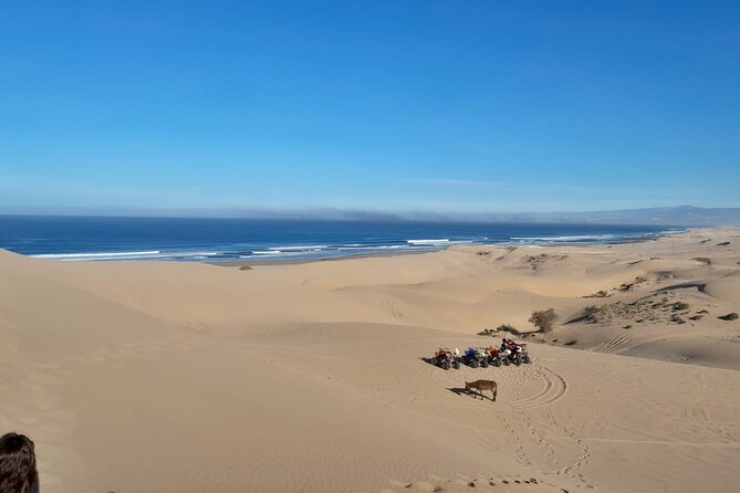 Quad Bike and Sandboarding on Sand Dunes Wild Beach - Riding Agadir’s Wild Beach route: more than just dunes