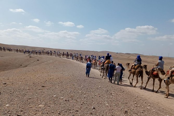 Quad bike & Camel ride Agafay & dinner at Chouf L’Or Restaurant - Camel Ride: The Quiet Counterbalance After Quads
