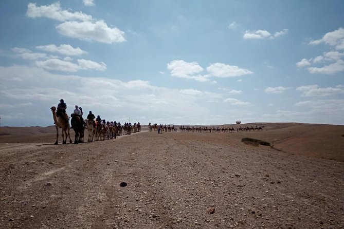 Quad bike & Camel ride Agafay & dinner at Chouf L’Or Restaurant - Guides: The Real Difference Between a Good Ride and a Great One