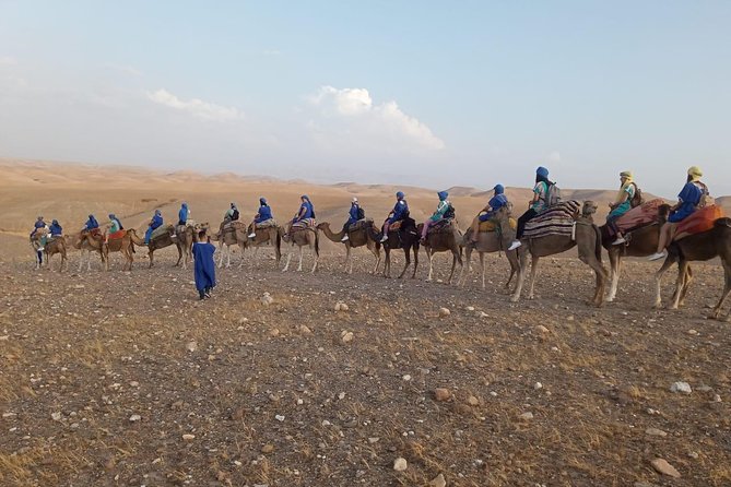 Quad bike & Camel ride Agafay & dinner at Chouf L’Or Restaurant - Price and Value: What You’re Actually Getting for $108.02