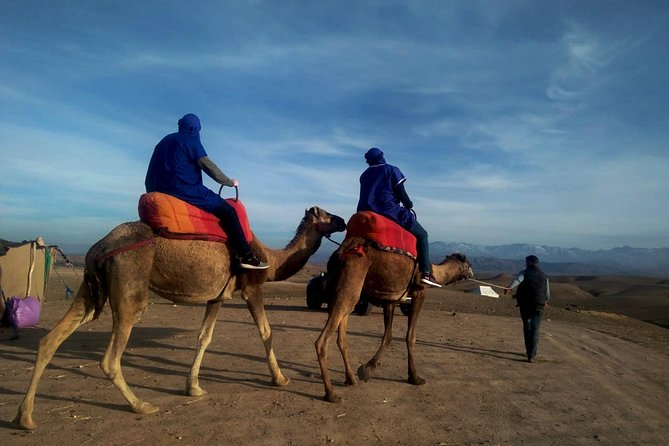 Quad bike & Camel ride Agafay & dinner at Chouf L’Or Restaurant - Pickup and the Small-Group Rhythm in Marrakech