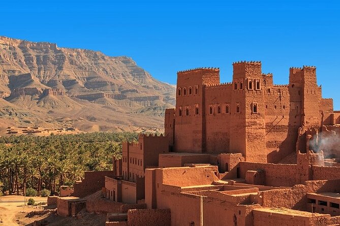 Quad Bike, Camel Ride, Dinner with Show & sunset in Agafay Desert - Dinner at the Camp: Berber Music, Fire Dancers, and Real Camp Energy