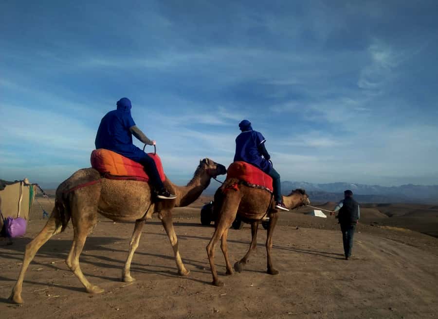 Quad bike & Camel ride in Agafay with dinner at Chouf L’or - Key things to know before you go