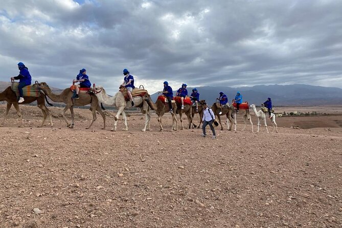 Quad bike & camle Ride & Dinner show in agafay desert - Sunset Camel Ride: Views for 15 to 20 Minutes