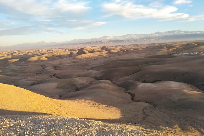 Quad bike & camle Ride & Dinner show in agafay desert - Price, Value at $15.16, and Who Should Book