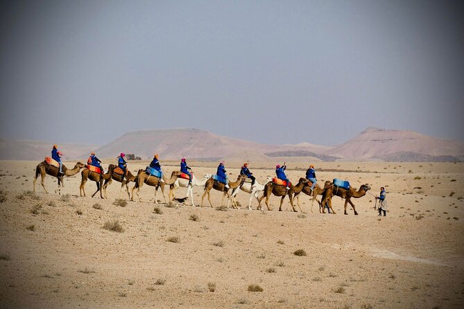 Quad Bike Experience at the Palmeraie Marrakesh - Tea in the Wilderness: Why the Break Matters