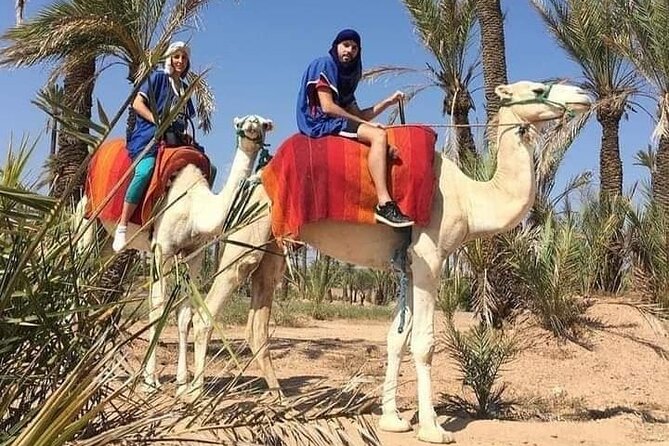Quad Bike Experience at the Palmeraie Marrakesh - Camel Ride and Traditional Clothing in the Palmeraie