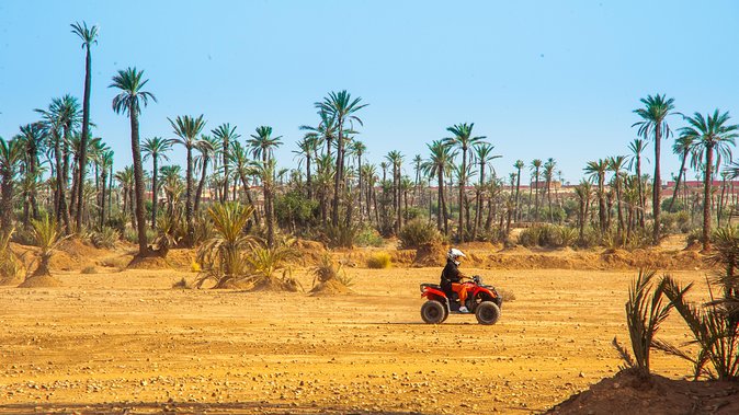 Quad Bike Experience in Marrakech Palmeraie - Animals and Local Details: The Part That Turns It From Fun to Memorable