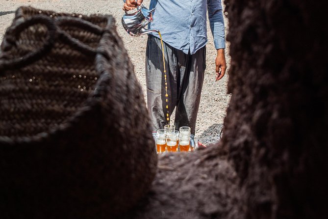 Quad Bike Experience in Marrakech Palmeraie - Photos, Pace, and the Practical Reality of a 1-Hour Ride
