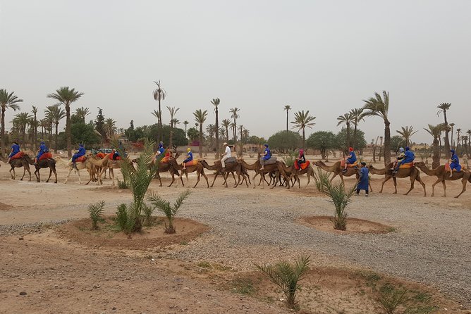 QUAD BIKE Marrakech - Mint Tea, Local Homes, and Berber Village Life