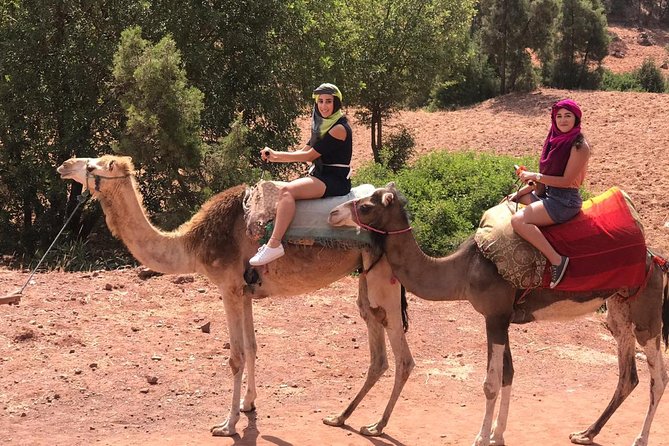 Quad Biking and Camel Ride Guided Day Trip from Marrakech - Marrakech to the High Atlas: how the day flows