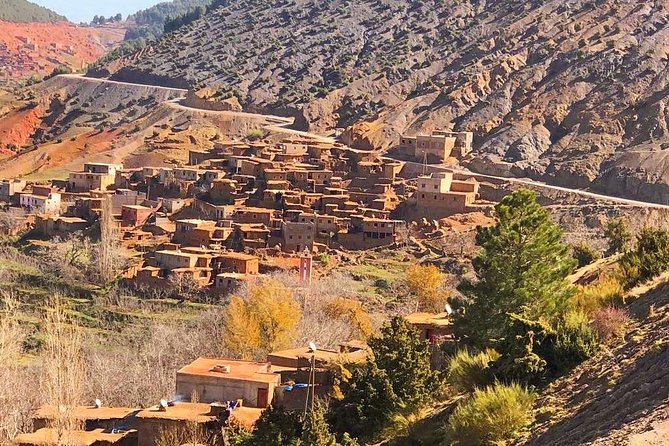 Quad Biking and Camel Ride Guided Day Trip from Marrakech - Price and value: what you’re really paying for at $104.96