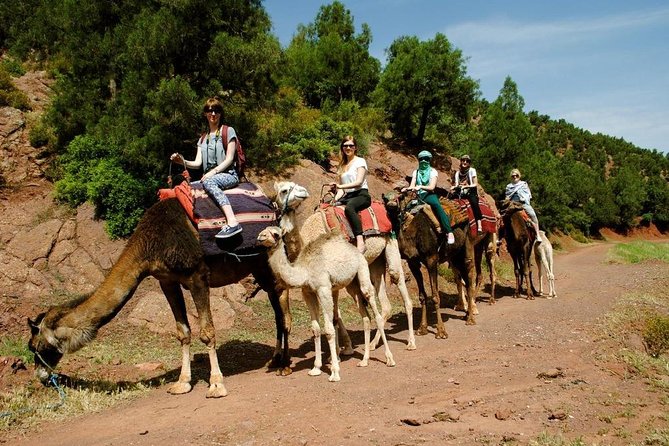 Quad Biking and Camel Ride Guided Day Trip from Marrakech - Who should book this quad and camel day trip