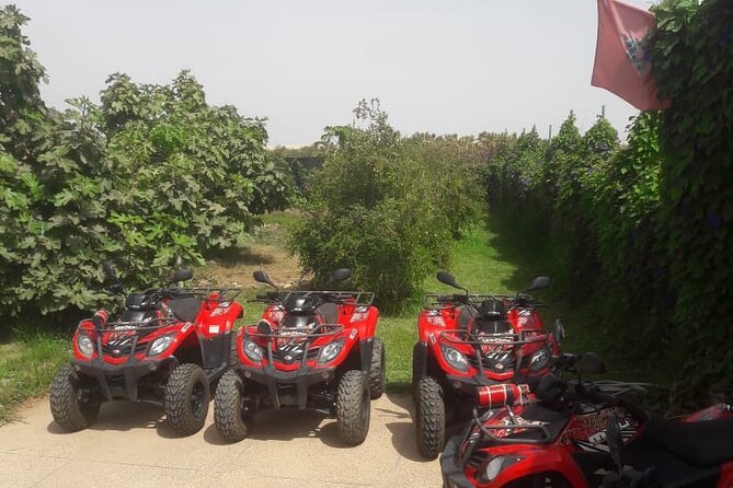 Quad Biking and Sandboarding on Sand Dunes Wild Beach - Berber Mint Tea Break: The Perfect Pause Between Thrills