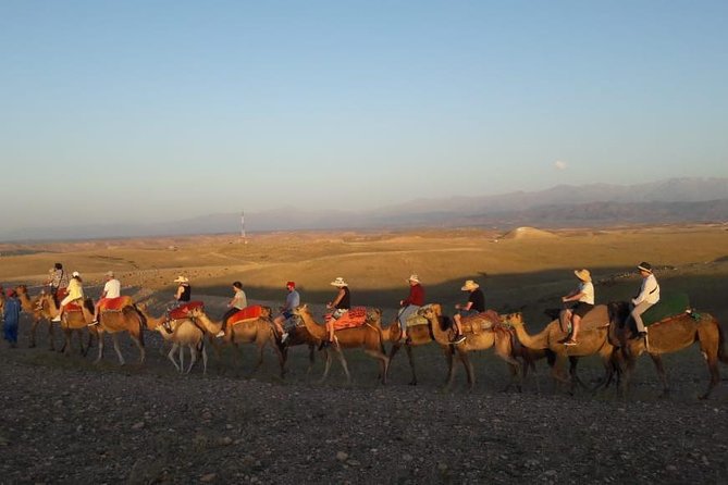 Quad Biking & camel ride Agafay desert with Lunch or dinner - Camel Ride Through Arid Lands: The Slower Side of Agafay