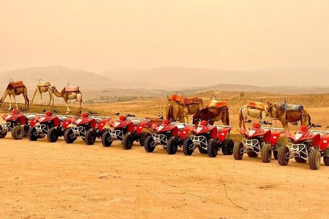 Quad Biking Half Day And Camel Ride In Sunset - Key highlights you’ll feel right away