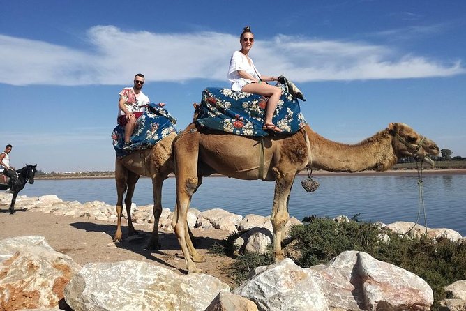 Quad Biking Half Day And Camel Ride In Sunset - Transfers from Taghazout, Agadir, and the cruise terminal
