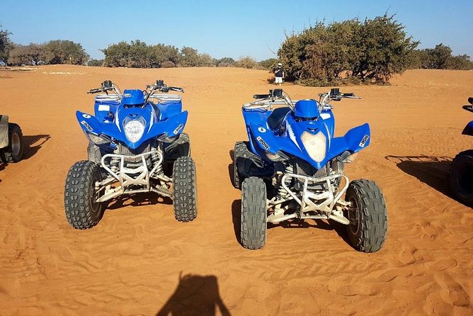 Quad Biking Half Day And Camel Ride In Sunset - Small group size and guide support: what you gain with 15 people