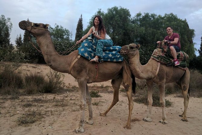 Quad Biking Half Day And Camel Ride In Sunset - Price and value: is $85.96 a fair deal?