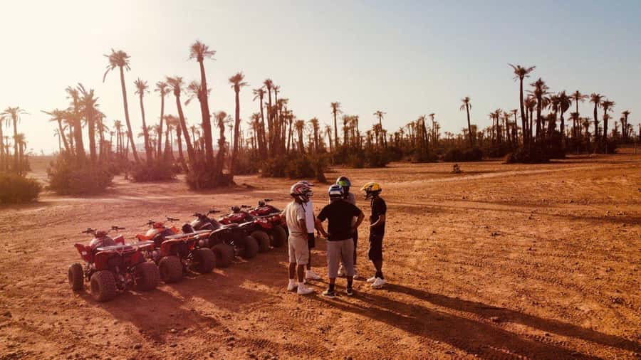 Quad biking in Marrakech's desert palm grove - How the two-hour experience is structured in real life