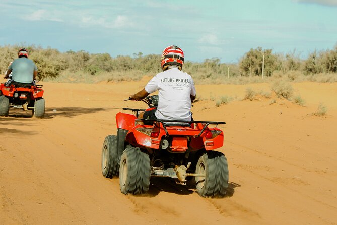 Quad Biking on the Beach and Forest Dunes with Pickup from Agadir - The Tea Break at the Bird Oasis (Yes, It Can Be a Show)